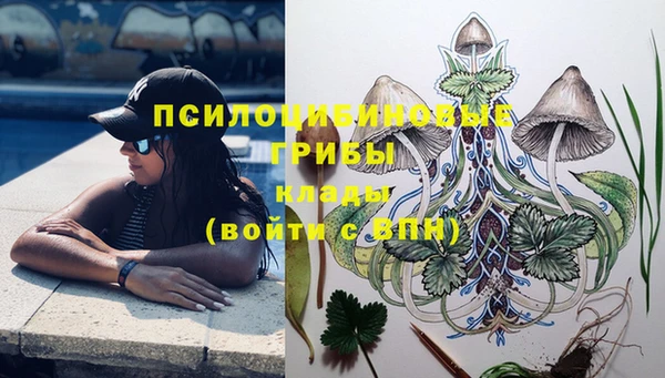 герыч Алзамай